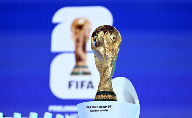 FIFA Faulted Over Delay in South Africa Eligibility Case